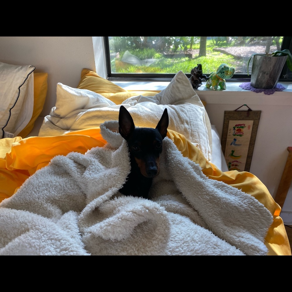 Meet your Posher, Elle